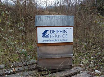 Delphin France parraine une ruche de 40 000 abeilles